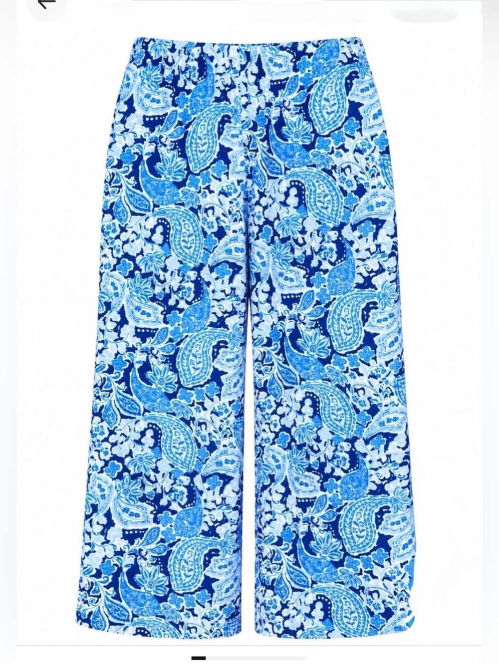 Jjill Paisley Wide Leg Crop Pants| Size: XL